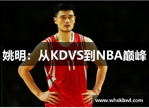 姚明：从KDVS到NBA巅峰